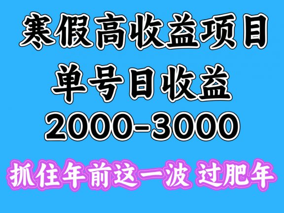 寒假期间一天收益2000-3000+，抓住年前这一波