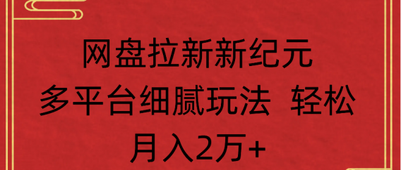 网盘拉新，新纪元多平台，细腻玩法，轻松月入2万+